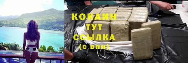 PSILOCYBIN Богородицк
