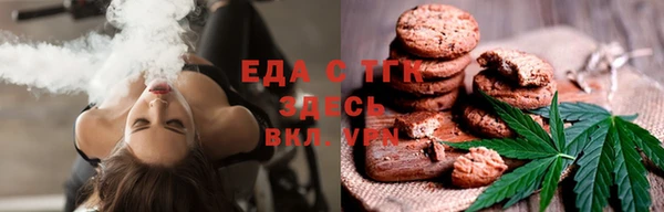 крисы Бородино
