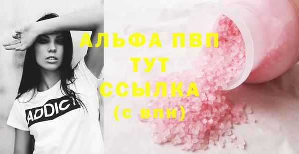 крисы Бородино