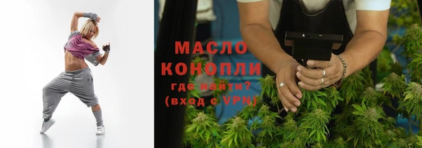 крисы Бородино