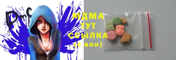 крисы Бородино