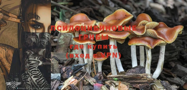 меф Богданович