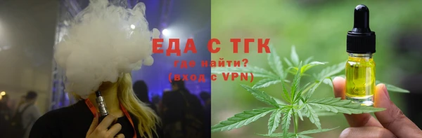 крисы Бородино
