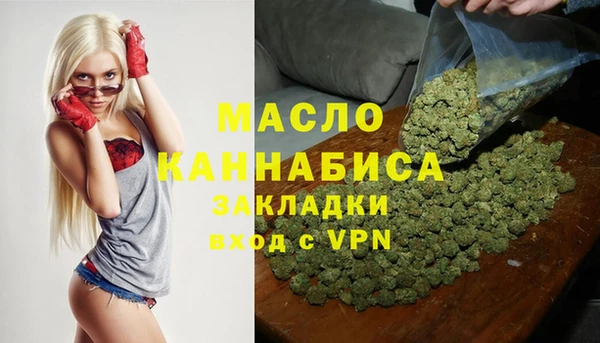 крисы Бородино