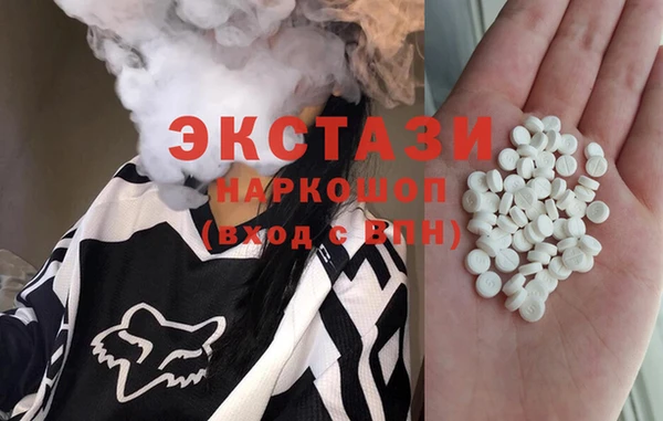 крисы Бородино