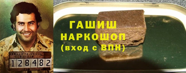 крисы Бородино